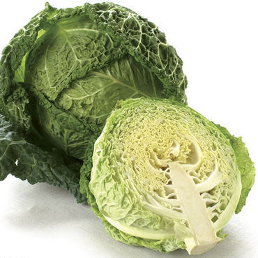 ing savoy cabbage sql